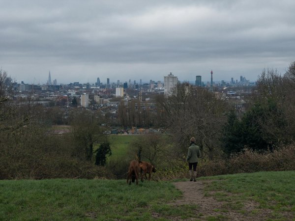 Découvrez les bienfaits de pro nutrition pour votre santé